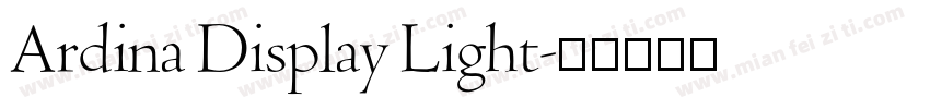 Ardina Display Light字体转换